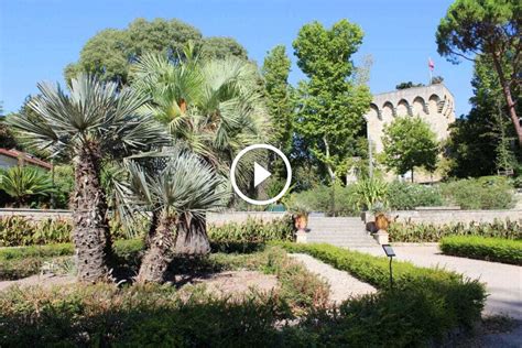 ¡Sumérgete en la Historia y la Belleza del Jardín de las Plantes! Un Oasis Verde en el Corazón de Montpellier