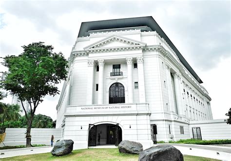 El Museo de la Historia Natural de Iloilo ¡Un viaje fascinante a través del mundo natural filipino!